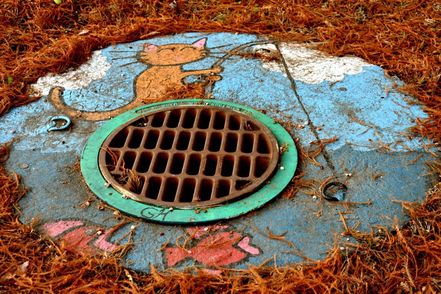 a picture of a drain cover that has a spray painted cat fishing in the drain