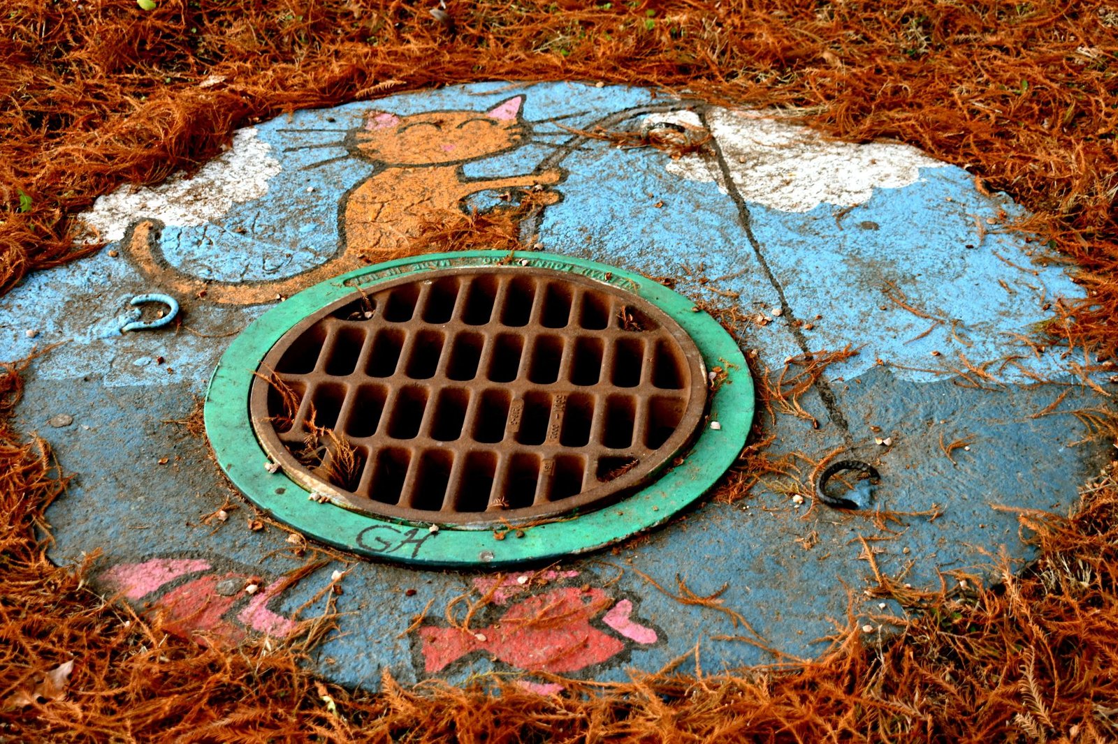 Expert Tips for Preventing Broken Drains in Your Home - Stephi LaReine