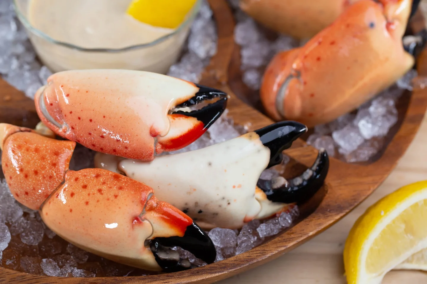 Why Stone Crabs Are a Source of High-Quality Protein