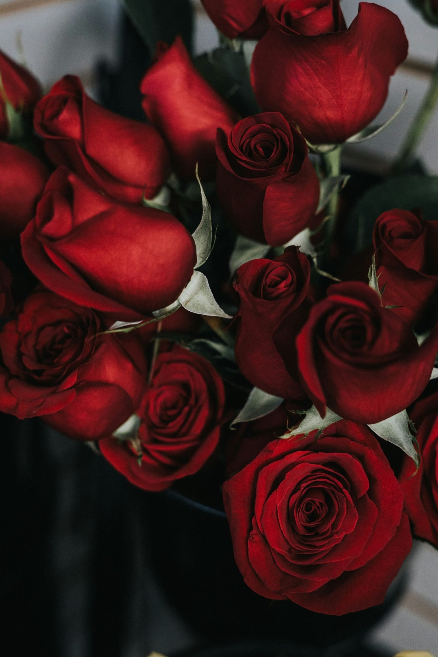 Exploring the Real Meaning of Giving Flowers on Valentine’s Day