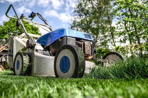 How Regular Lawn Care Adds Beauty and Balance to Your Life