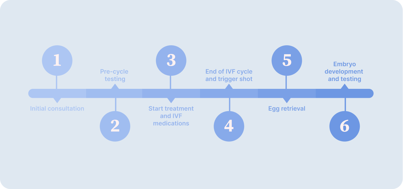 What to Expect During an IVF Treatment Cycle